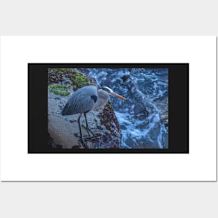 Great Blue Heron Posters and Art